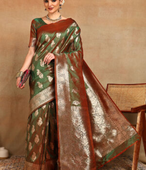 Indian Silk Saree