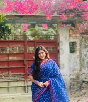 Blue Silk Saree